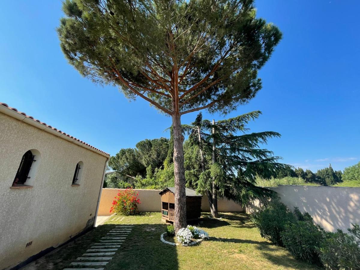 Annexe Des Pins - Studio Gite Avec Piscine & Climatisation Villeneuve-lès-Béziers Dış mekan fotoğraf